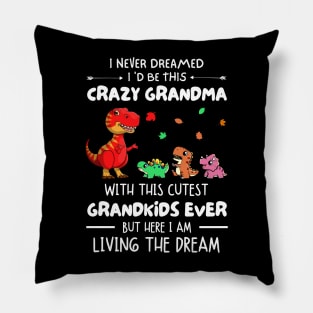 I Never Dreamed I'd Be This Crazy Grandma With The Cutest Grandkids Ever Pillow