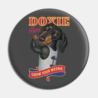 Dachshund going to Doxie Gym to grow your weenie with red trim Pin