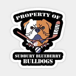  SHORESY Sudbury Blueberry Bulldogs Hockey Jersey with Your Name  & Number : Sports & Outdoors