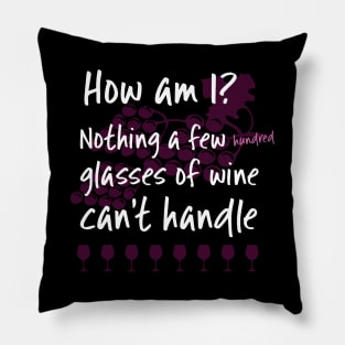 How Am I Nothing a Few Hundred Glasses of Wine Can't Handle Pillow