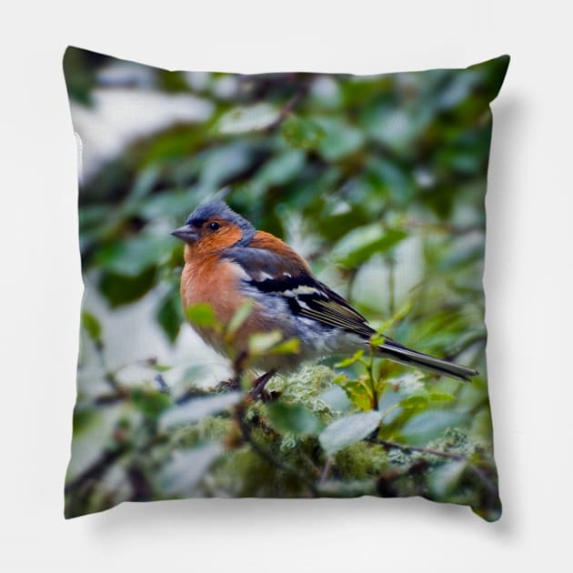 Little Chaffinch Pillow by JeanKellyPhoto