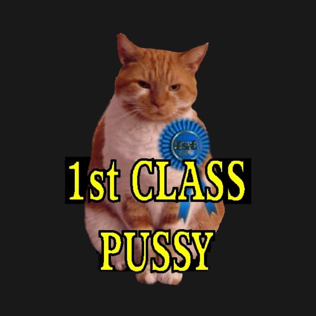 1st class pussy by Stiffmiddlefinger