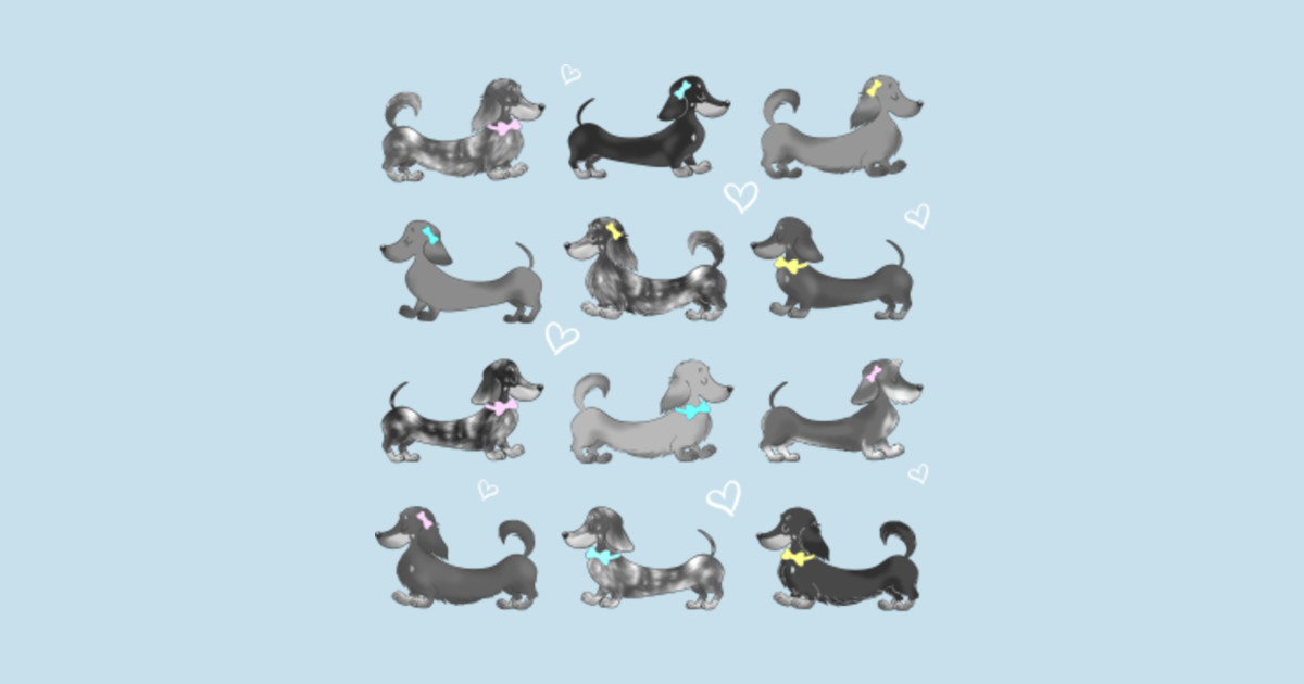 99+ Different Types Of Dachshund Breeds