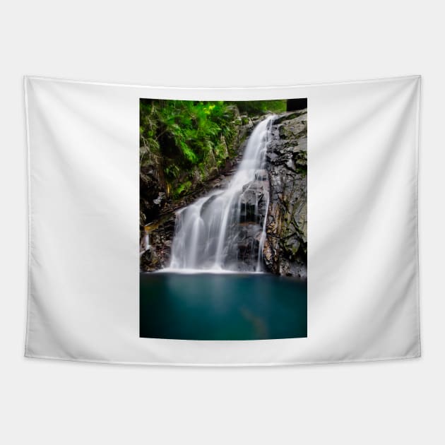 Hiji Falls Tapestry by jswolfphoto