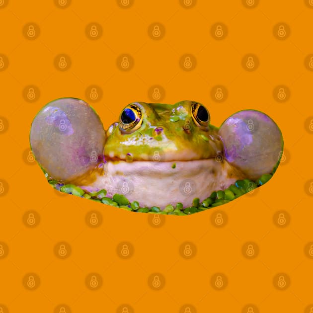 Marsh Frog by dalyndigaital2@gmail.com