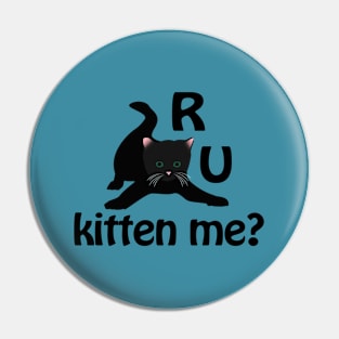 R U Kitten Me? Pin