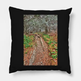 Frosted Appalachian Trail Pillow