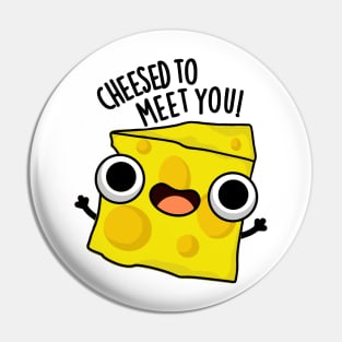 Cheese To Meet You Funny Food Puns Pin