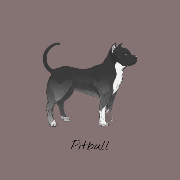 Pitbull dog by This is store