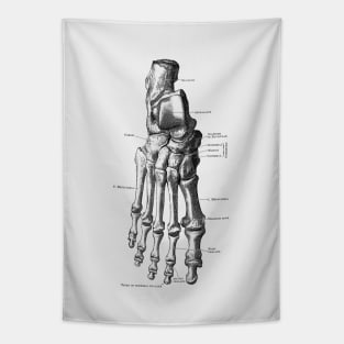 Right Foot Skeletal Diagram - Vintage Anatomy Tapestry