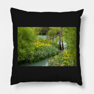 Yellow Bog iris. Pillow