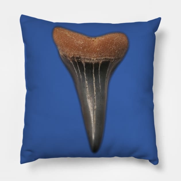 Big Shark Tooth Pillow by tocksickart