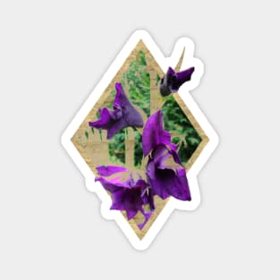 Vintage Gladiole Magnet