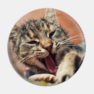 yawning cat Pin