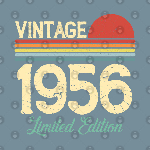 Disover Vintage 1956 Limited Edition Birthday Gift Men Women Retro - Born In 1956 Birthday Gifts - T-Shirt