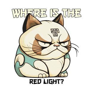 Where is the red light? T-Shirt