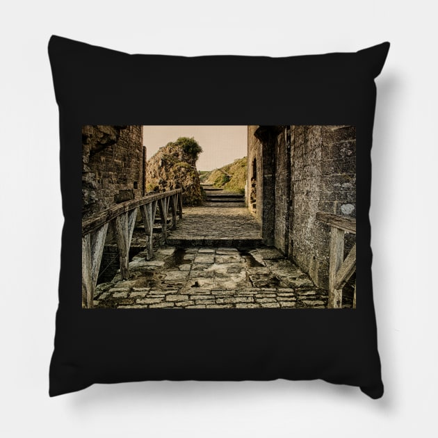 Steps back in Time Pillow by InspiraImage