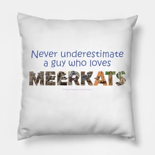 Never underestimate a guy who loves meerkats - wildlife oil painting word art Pillow