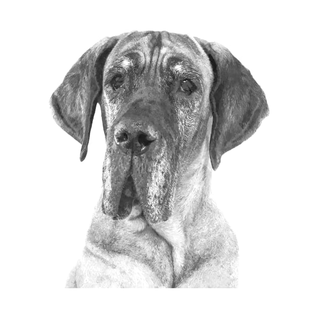 Black and White Great Dane by Alemi