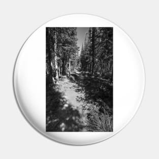 Glacier National Park Lake Wooded Path Pin