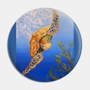 Green Sea Turtle Swimming in The Sea Pin