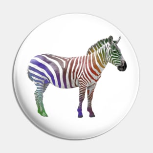 Zebra in rainbow color - Zebras - Africa Pin