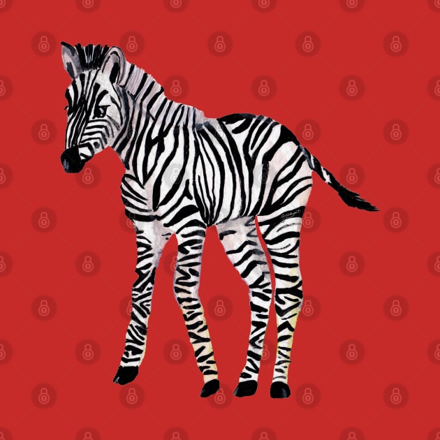 Baby Zebra by Peleegirl