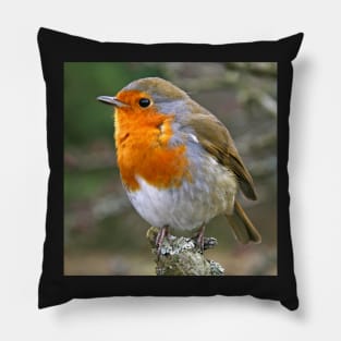 Red Red Robin Pillow