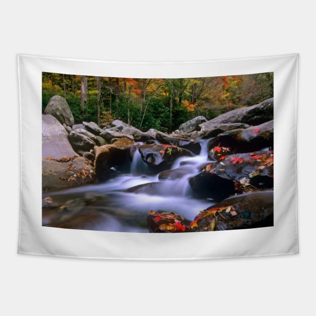 Little Pigeon River Cascading Among Rocks And Colorful Fall Maple Leaves Great Smoky Mountains National Park Tapestry by RhysDawson