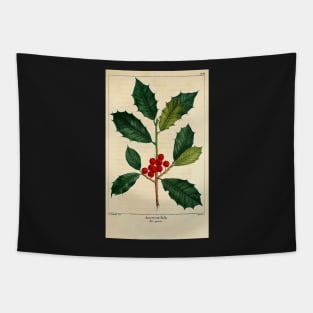 christmas post card mistletoe berries green american holly Tapestry