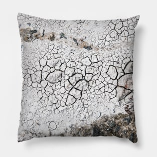 Cracks in dry soil 2 Pillow