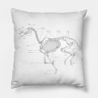 Skeleton horse anatomical sketch Pillow