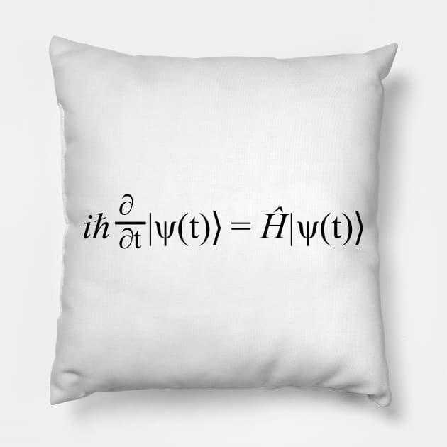 Schrodinger's Equation Pillow by Among the Leaves Apparel