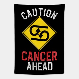 Funny Zodiac Horoscope Cancer Road Sign Traffic Signal Tapestry