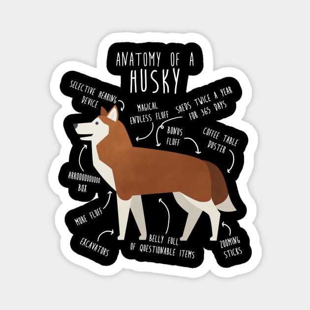 Red Siberian Husky Dog Anatomy Magnet by Psitta