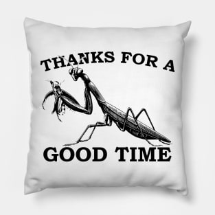 Praying Mantis Weird Crazy Eater Insect Pillow