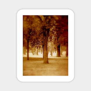 Trees in Sepia Magnet