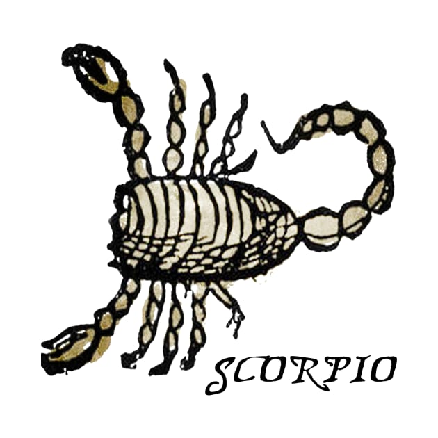 Scorpio - Medieval Astrology: by The Blue Box