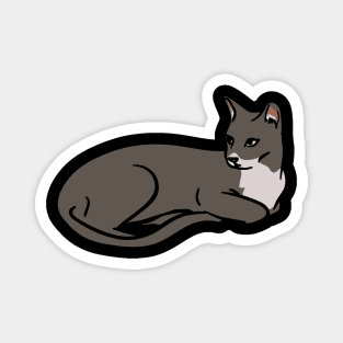 A cute lazy cat Magnet