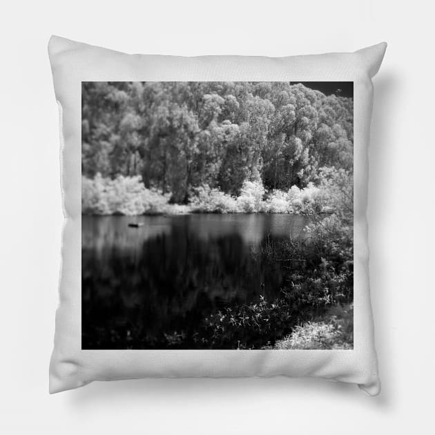 Pine Lake Pillow by rodneyj46