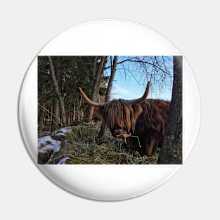 Scottish Highland Cattle Cow 2300 Pin