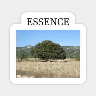 ESSENCE Magnet