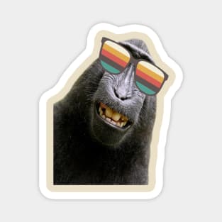 Funky monkey Magnet