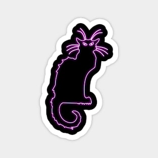 Chat Noir pink neon Magnet