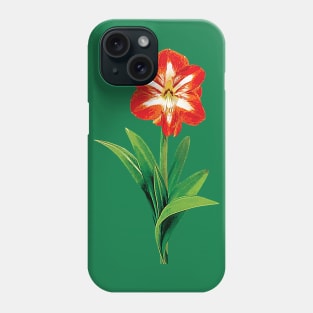 Orange and White Amaryllis Phone Case