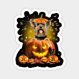 Yorkshire Terrier Spooky Halloween Pumpkin Dog Head Magnet