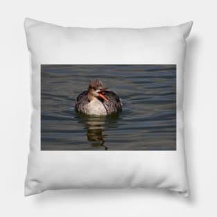 Mrs. Red-breasted Merganser Pillow