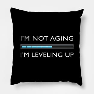 I’m Not Aging. I’m Leveling Up. Funny Gamer Pillow