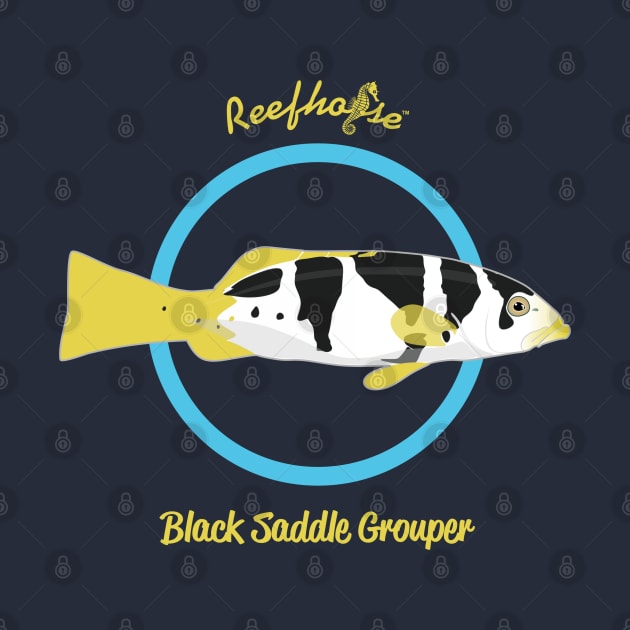 Black Saddle Grouper by Reefhorse