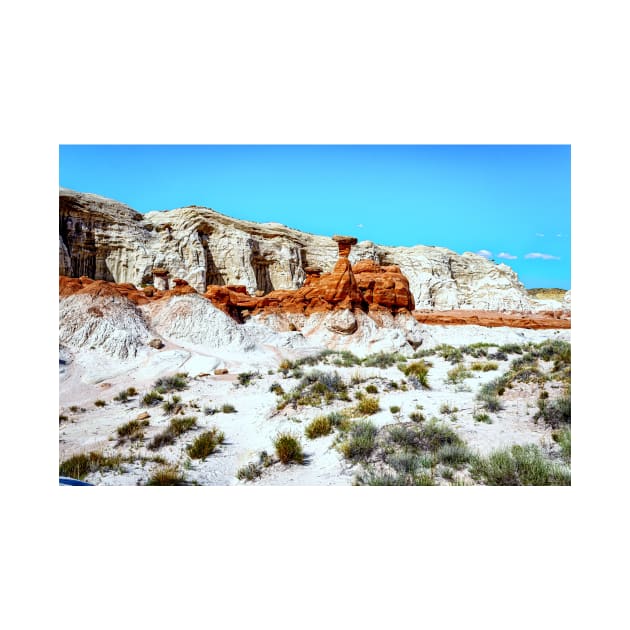 The Toadstool Trail at Grand Staircase-Escalante National Monument by Gestalt Imagery